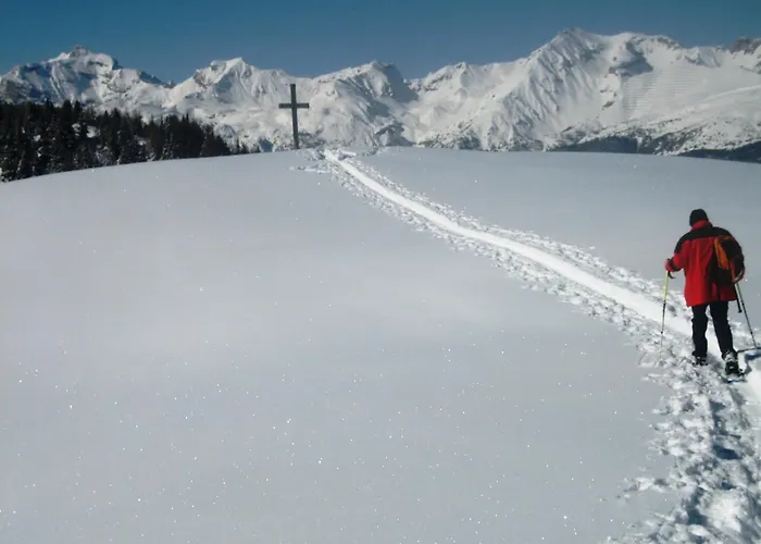 Saxerhof Appartement