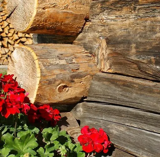 Appartement Saxerhof *