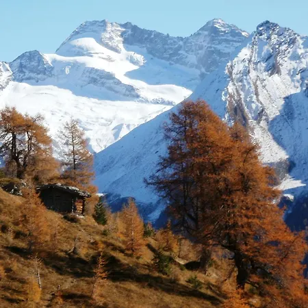 Apartamento Saxerhof