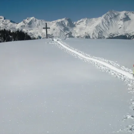 Saxerhof Apartamento