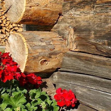 Apartamento Saxerhof *